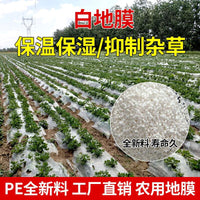 Agricultural Mulch Film for Greenhouse and Vegetable Cultivation, White Plastic Ground Cover for Winter Protection