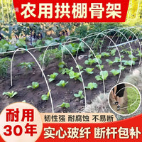 Fiberglass Greenhouse Hoops for Garden Tunnels and Plant Support