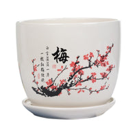 Ceramic Planter Pot with Saucer for Succulents and Indoor Plants