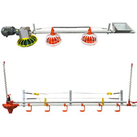 Automatic Poultry Feeder and Drinker System for Geese and Ducks