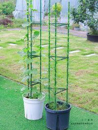 Tomato Cage Plant Support Stakes for Climbing Vegetables and Potted Plants