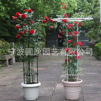Metal Garden Trellis for Climbing Plants, Roses, Clematis - Umbrella Shape Plant Support