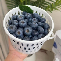 Orchard Fruit Picking Baskets with Handle and Lid for Cherries & Strawberries, 1-2 lb Capacity