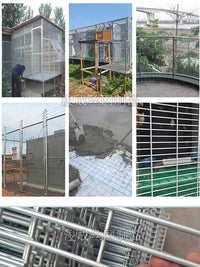 Galvanized Welded Wire Mesh Fence Panel for Pet Enclosures and Garden Protection