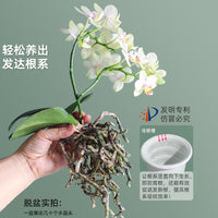 Meishi Double-Layer Breathable Orchid Pot with Root Control for Phalaenopsis and Oncidium