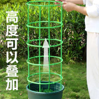 Garden Trellis for Climbing Plants, Rose Support, Potted Plant Stand