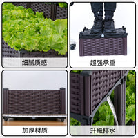 Outdoor Elevated Garden Planter Box for Vegetables and Flowers, Large Rectangular Plastic Planting Container