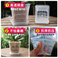 Clear Orchid Pot with Drainage Holes and Saucer, Breathable Root Control Planter for Healthy Growth
