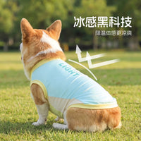 Pet Dog Cooling Vest Thin Summer Sun Protection for Corgi Shiba Inu Medium Dogs