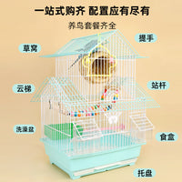 Large Villa Bird Cage for Budgies Peonies Finches Pearl Birds, Metal Decorative Birdcage for Small Birds