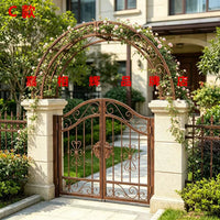 Stainless Steel Garden Arch Trellis for Climbing Plants, Villa Entrance Decor