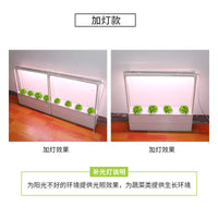 Hydroponic Planter Box Kit for Balcony Vegetable Gardening