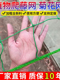 Plant Climbing Netting for Garden Trellis Support, Cucumber Loofah Rose Vine Climbing Plant Grow Net