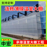 Multi-Span Film Greenhouse for All-Season Plant Cultivation and Flower Seedling