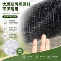Heavy-Duty HDPE Square Mesh Netting for Climbing Plants, Pond Protection, and Fruit Tree Guard
