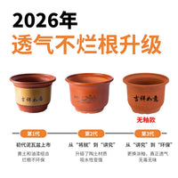 Large Ceramic Terracotta Planter Pot with Drainage and Tray for Indoor Plants