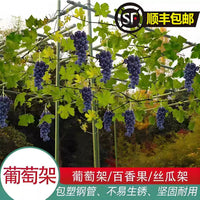 Outdoor Garden Pergola Kit Metal Arch Trellis for Climbing Plants