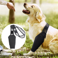 Dog Rear Leg Brace for Joint Support and Injury Recovery