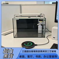 Crystal Clear Glass Aquarium for Home and Office Desktop, Small to Large Ecological Landscape Fish Tank