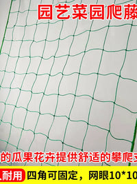 Plant Climbing Netting for Garden Trellis Support, Cucumber Loofah Rose Vine Climbing Plant Grow Net