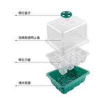 Seedling Starter Tray Kit with Humidity Dome - 12-Cell Plant Germination Station for Succulents