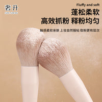 Professional Makeup Brush Set for Eyeshadow, Blush, Contour, and Concealer - Beginner-Friendly