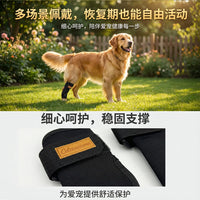 Pet Leg Brace for Injury Recovery, Anti-Lick, Anti-Scratch, Protective Sleeve for Dogs