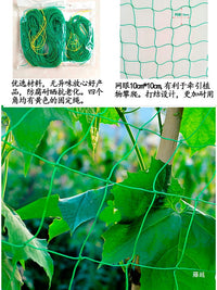 Garden Plant Trellis Net for Climbing Vegetables, Fruits and Flowers