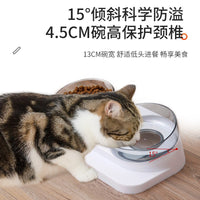 Elevated Double Cat Bowl with Anti-Slip Base for Food and Water, Tilted Design for Neck Protection