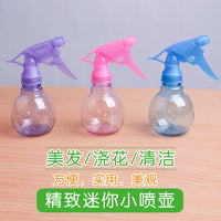 Fine Mist Spray Bottle for Hairdressing, Gardening, and Disinfection