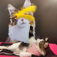 Extra Long Ostrich Feather Cat Teaser Wand with Bell and Silvervine