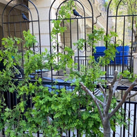 Heavy-Duty Iron Garden Trellis for Climbing Plants, Roses, Clematis, and Vines