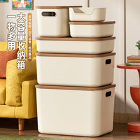 Desktop Storage Box with Lid for Snacks Toys Sundries Cabinet Wardrobe Organizer