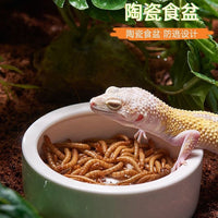 Ceramic Reptile Feeding Dish for Geckos, Lizards, and Small Pets - Escape-Proof Mealworm and Dubia Roach Bowl