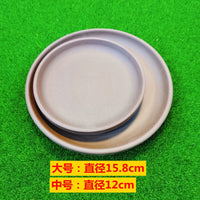Ceramic Turtle Feeding and Basking Platform with Bathing Basin for Semi-Aquatic Turtles