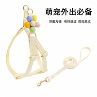 Dog Leash for Small Medium Large Dogs, Teddy Golden Retriever Walking Leash, Pet Supplies