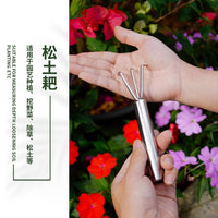 Mini Garden Tool Set, Stainless Steel Hand Trowel, Rake, Shovel for Potted Plants, Outdoor Gardening, Soil Loosening