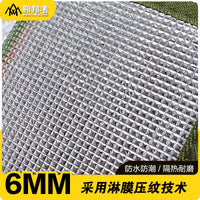 Thickened Aluminum Film Beach Mat for Outdoor Camping and Picnics