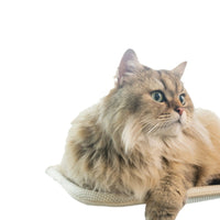 Cat Window Hammock Foldable Balcony Pet Bed with Strong Suction Cups Breathable Cat Perch