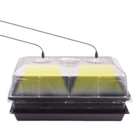 S5 Seedling Tray with Lid for Succulents and Carnivorous Plants, High-Dome Germination Station