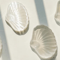Natural Moroccan Selenite Shell Bowl for Home Decor, Jewelry Cleansing, and Landscape Ornaments
