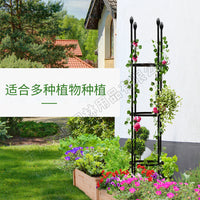 Garden Trellis for Climbing Plants, Metal Plant Support Stake for Potted Flowers, Indoor Outdoor Use