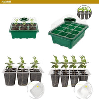 12-Cell Seedling Starter Tray Kit with Lid - Thickened, Insulated, and Breathable