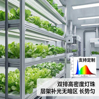 LED Grow Light Full Spectrum for Succulents and Indoor Plants, Plant Growth Lamp for Seedlings and Flowering