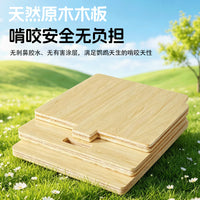 Wooden Parrot Breeding Box with Pull-Out Tray and Thermometer for Small Birds