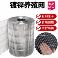 Galvanized Welded Wire Mesh Fence for Poultry and Pet Enclosures, Rust-Resistant Steel Wire Netting