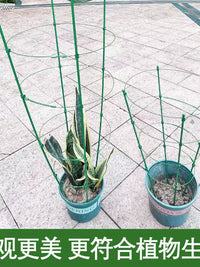 Telescopic Plant Support Trellis for Climbing Plants, Moonflower, Rose, Orchid, Pothos, Balcony Greenery