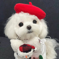 Pet Beret Hat for Dogs and Cats - Painter Style Octagonal Cap