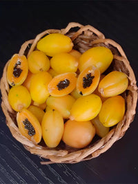 Miniature Papaya Simulation Fruit Model for Dollhouse and OB11 Dolls