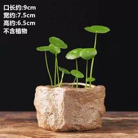 Ceramic Hydroponic Planter Bowl for Aquatic Plants and Small Bonsai